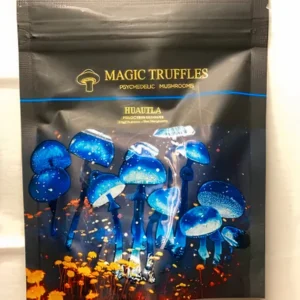 Magic Truffles Brand | Magic Truffles Psychedelic Mushrooms